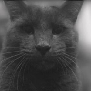 Meet your Posher, Irelynn